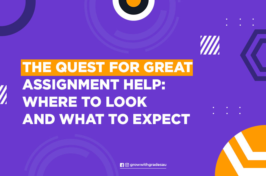 The Quest for Great Assignment Help: Where to Look and What to Expect